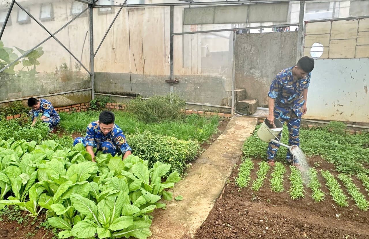 Tăng gia trên đảo Hòn Chuối