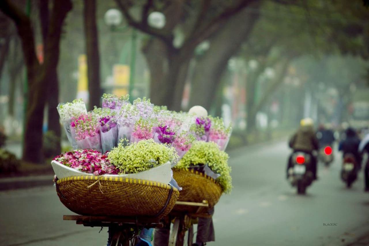 Bồi hồi tháng 12 về trên phố