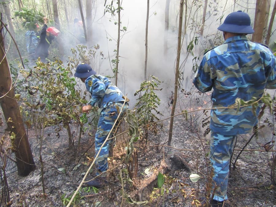 Tiểu đoàn 355, Vùng 3 Hải quân giúp dân chữa cháy rừng