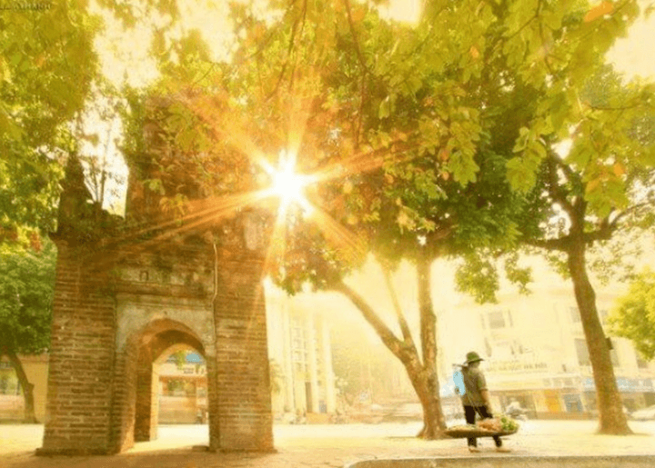 Đi trong ngày nắng