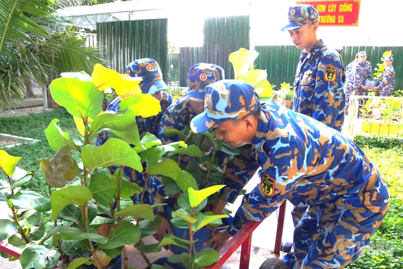 Chung sức xanh hóa Trường Sa