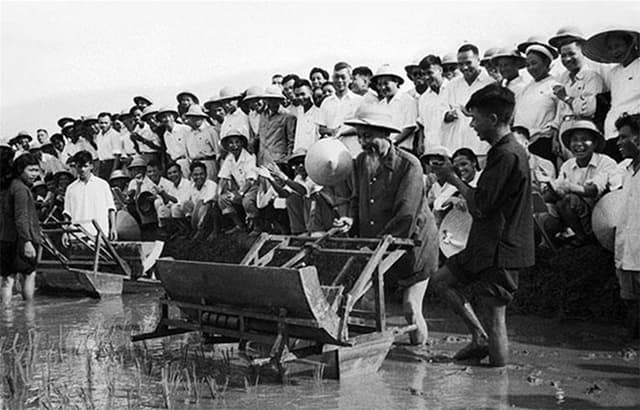 Bác Hồ dạy: “Lao động là vẻ vang”