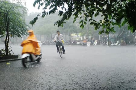 Cơn mưa đầu mùa
