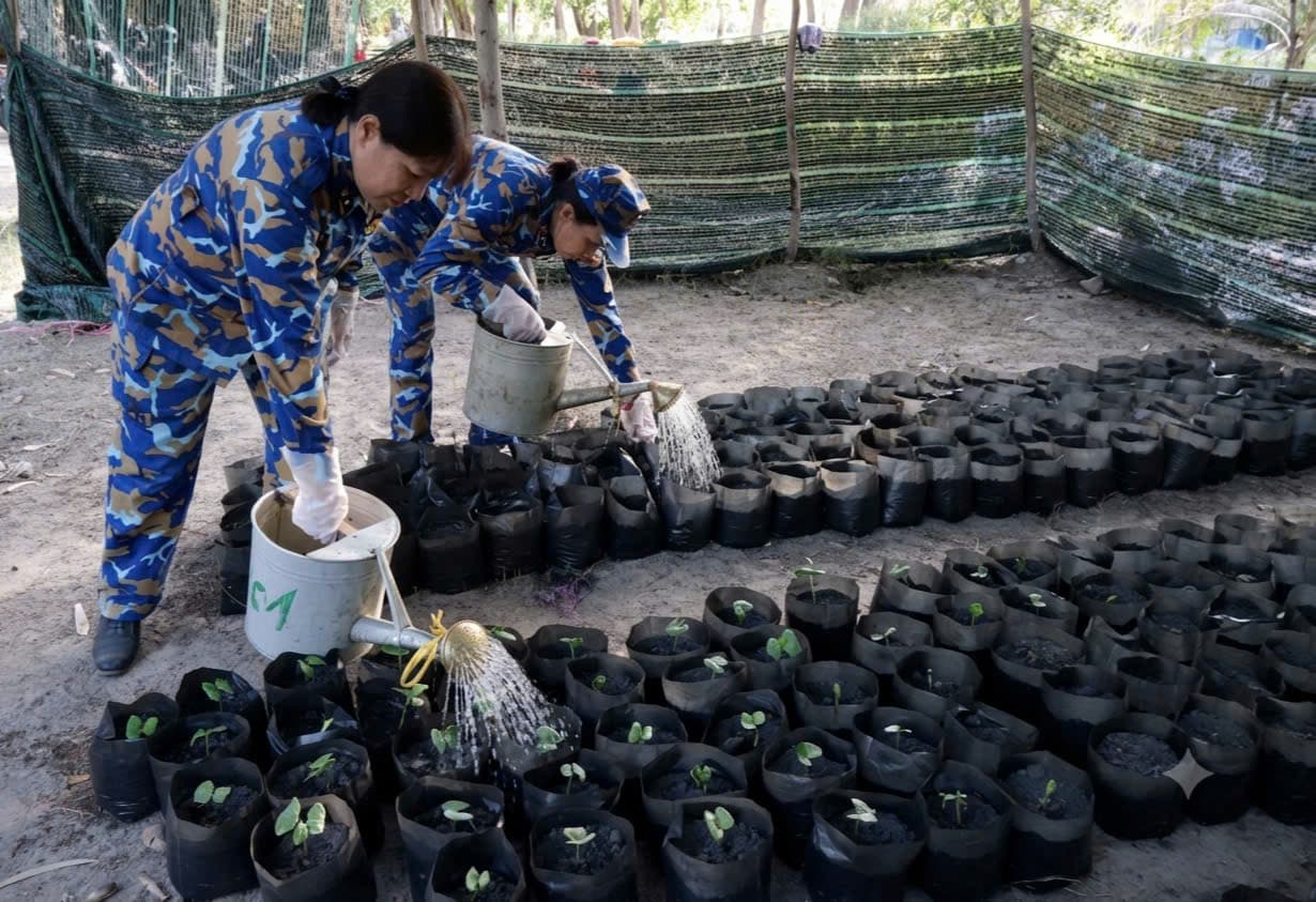 Hội phụ nữ Lữ đoàn 101 hưởng ứng Chương trình “Xanh hóa Trường Sa”