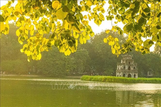 Nhớ nhung một thuở nghe, nhìn