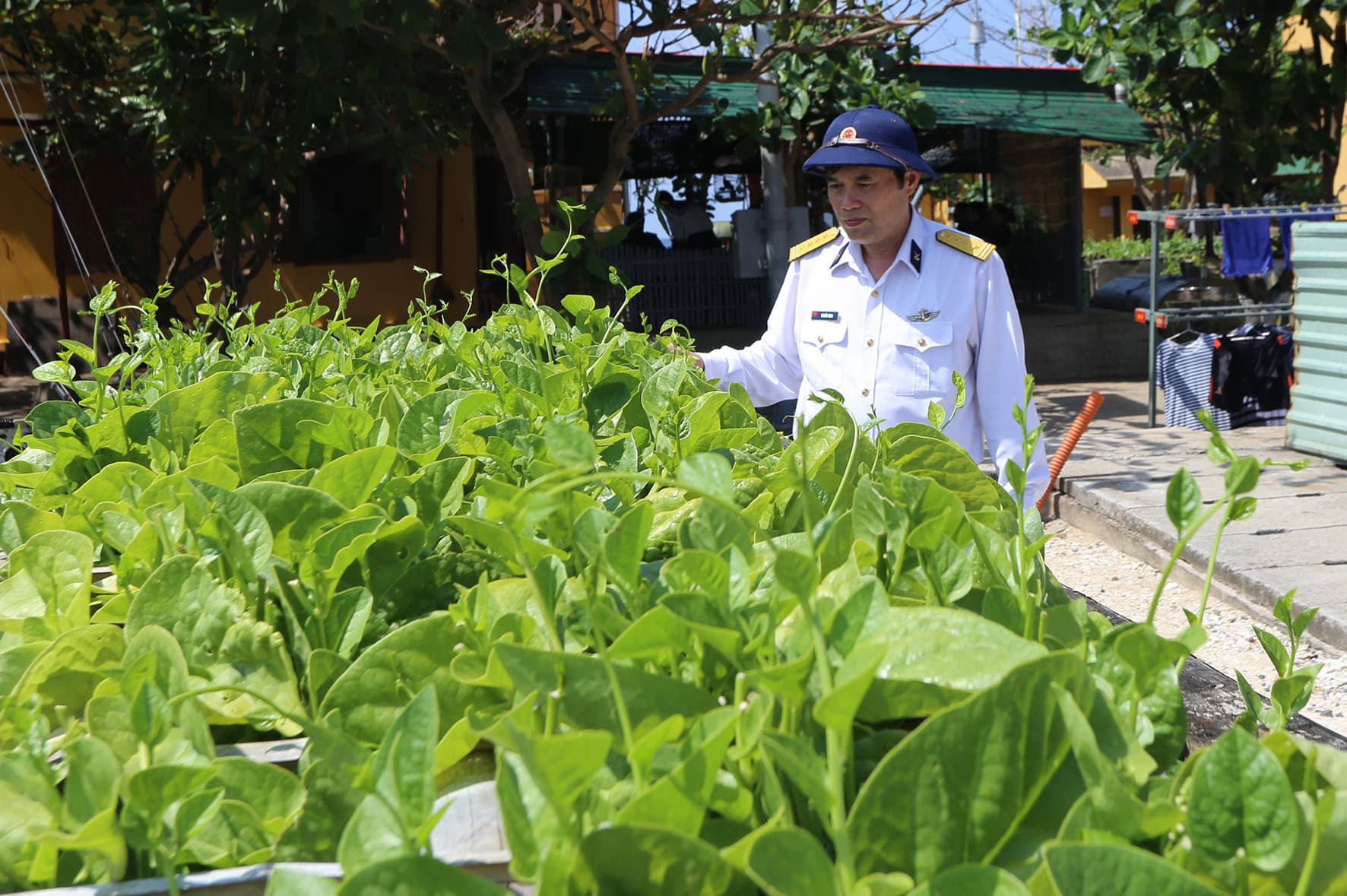Trường Sa hôm nay