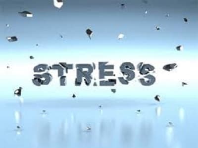 “STRESS” – Câu chuyện của cuộc sống