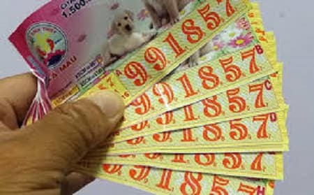 Suýt bị lừa thêm...