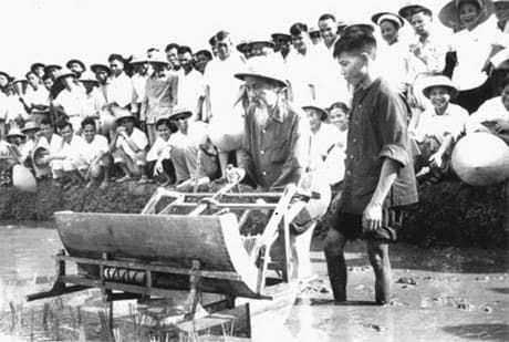 Lời Bác Hồ dạy ngày này năm xưa:  “Thực hiện khẩu hiệu “Sạch làng tốt ruộng”, “Tấc đất tấc vàng” - nhà cửa, vườn tược, đường sá đều sạch sẽ, đúng vệ sinh”