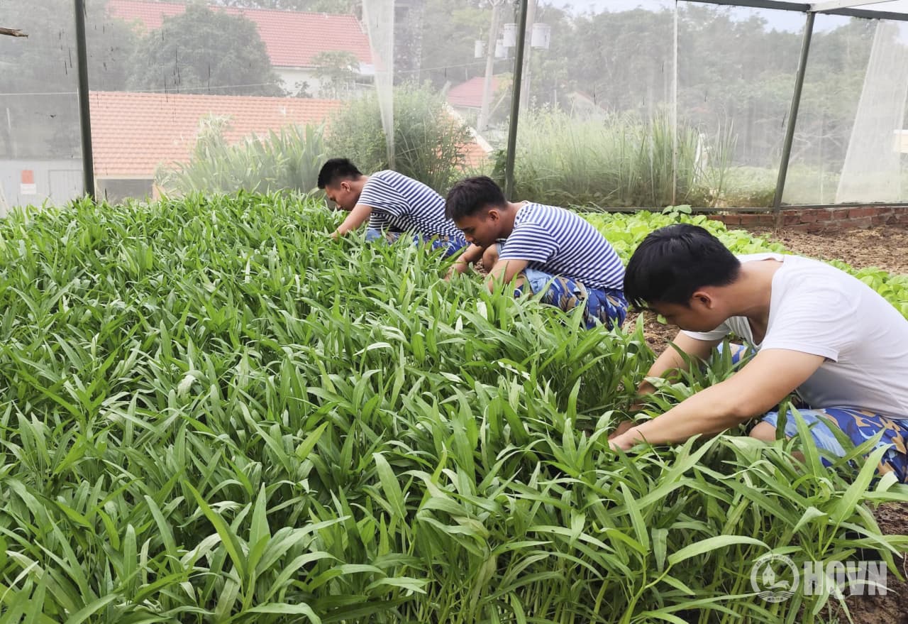 Vượt khó tăng gia trên đỉnh Núi Lớn