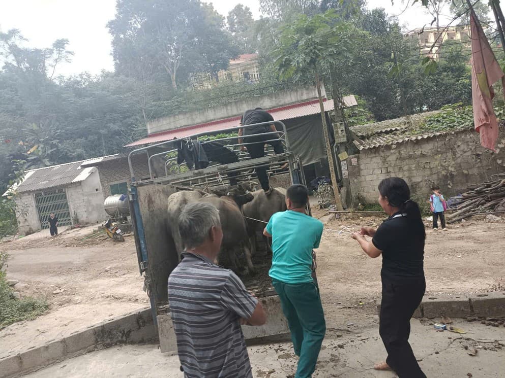 Tỉnh Lạng Sơn tập trung chỉ đạo thực hiện quyết liệt Chương trình mục tiêu quốc gia giảm nghèo bền vững