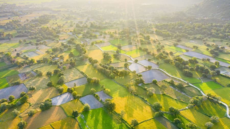 An Giang: Thúc đẩy khoa học công nghệ, đổi mới sáng tạo - Mở rộng sinh kế và giảm nghèo bền vững