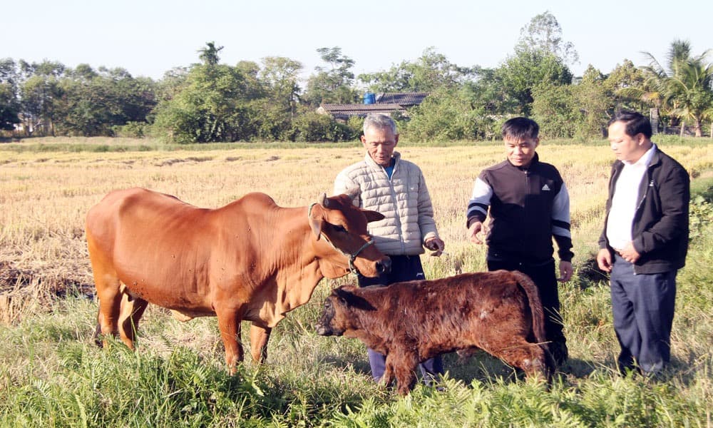 Đồng Việt (Bắc Ninh) giảm nghèo hiệu quả nhờ đa dạng cách làm
