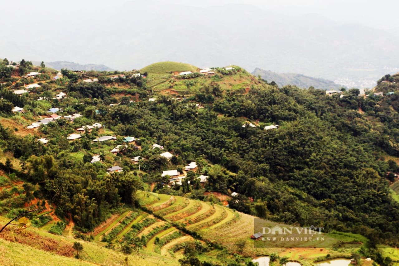 Hành trình “vượt dốc” thoát nghèo ở Kim Bon, xã vùng III của tỉnh Sơn La