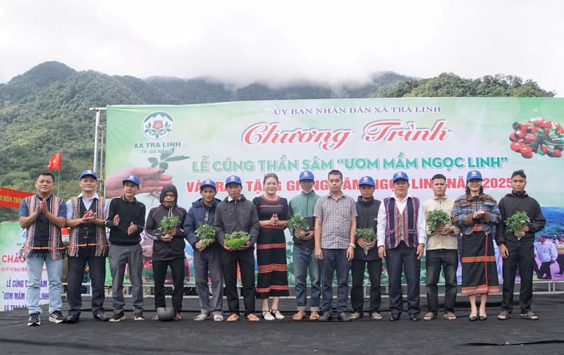 Trao sâm giống, mở cơ hội thoát nghèo