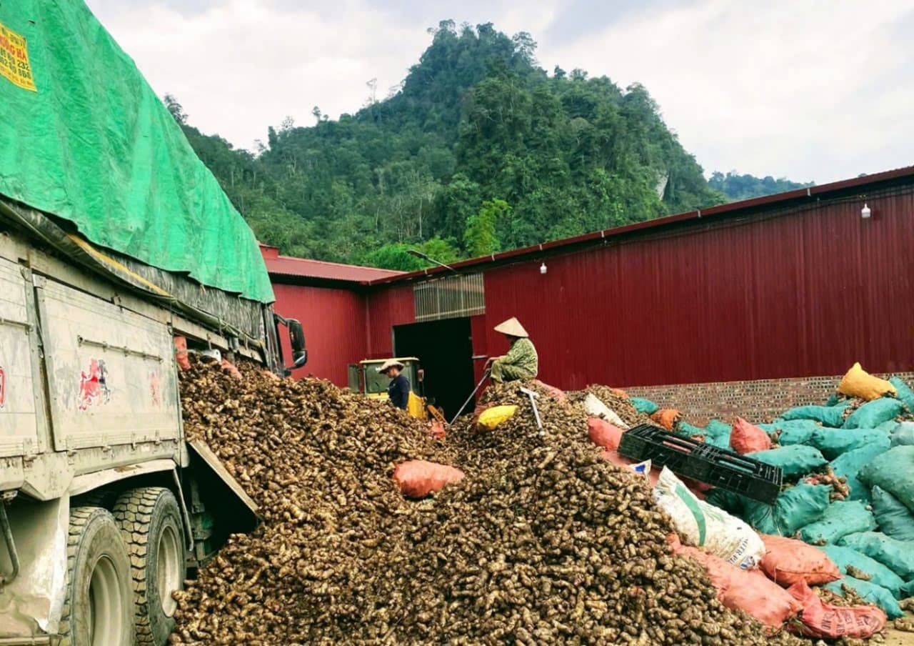 Thái Nguyên: Nhiều tấm gương sáng trong công tác giảm nghèo bền vững