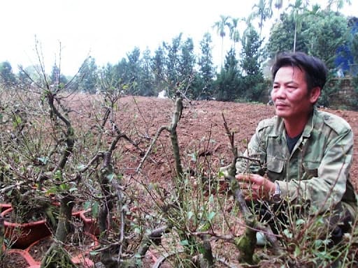 Hà Nội: Hình mẫu giảm nghèo bền vững và mở rộng an sinh xã hội của đô thị lớn