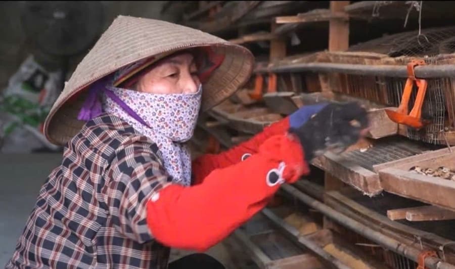 Hải Phòng tăng tốc giảm nghèo, hướng tới tỷ lệ 0,2% vào cuối năm 2025