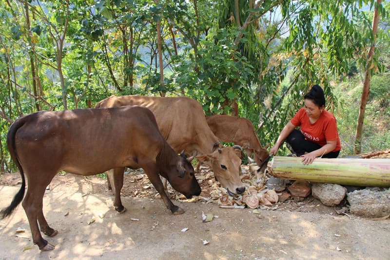Mường Chiên phát huy tiềm năng, thế mạnh để giảm nghèo