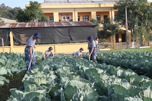 “Thực túc binh cường” ở Lữ đoàn 679