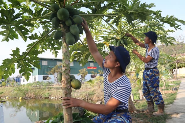 “Thực túc binh cường” ở Lữ đoàn 679