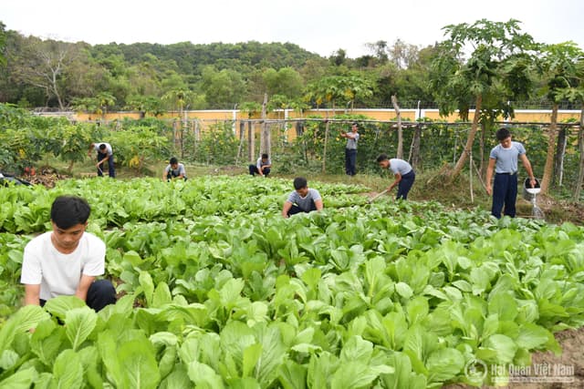 BẢO ĐẢM THỰC PHẨM TẠI CHỖ Ở TIỂU ĐOÀN 563