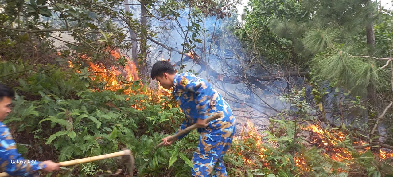 Lữ đoàn 126 kịp thời dập đám cháy rừng