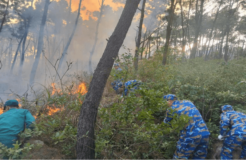 Trạm ra đa 485 tham gia chữa cháy rừng tại đặc khu Vân Đồn