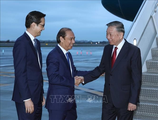 Tổng Bí thư, Chủ tịch nước Tô Lâm đến New York tham dự Phiên thảo luận cấp cao Đại hội đồng Liên hợp quốc khóa 81