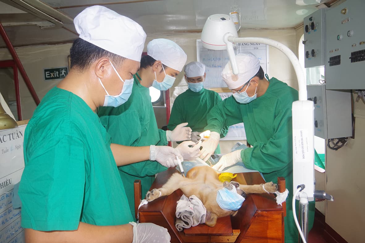 Vùng 2 Hải quân: Diễn tập hậu cần sát với nhiệm vụ trên biển