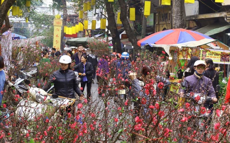 Dự báo thời tiết Tết Nguyên đán Quý Mão năm 2023