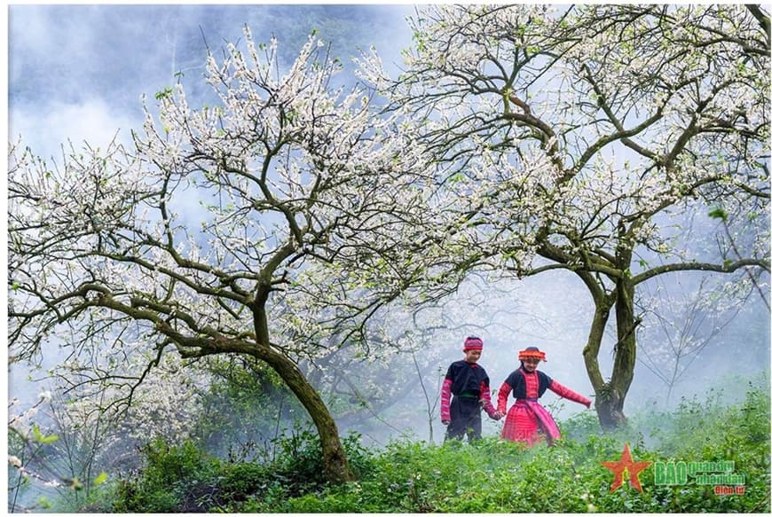 Tản mạn hương vị Tết