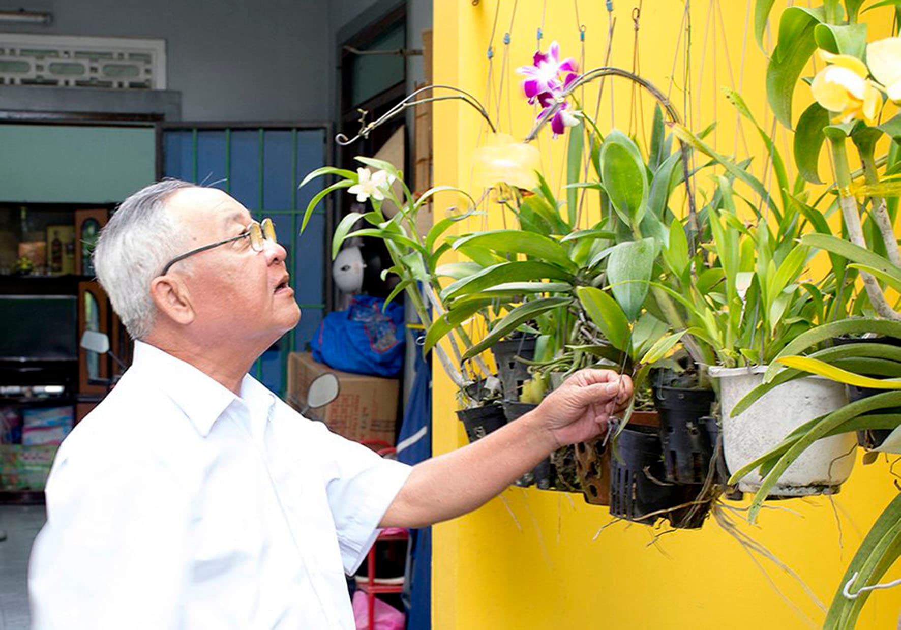 Nhạc sĩ Hình Phước Long: Tình yêu Trường Sa vẫn luôn dạt dào trong tâm thức