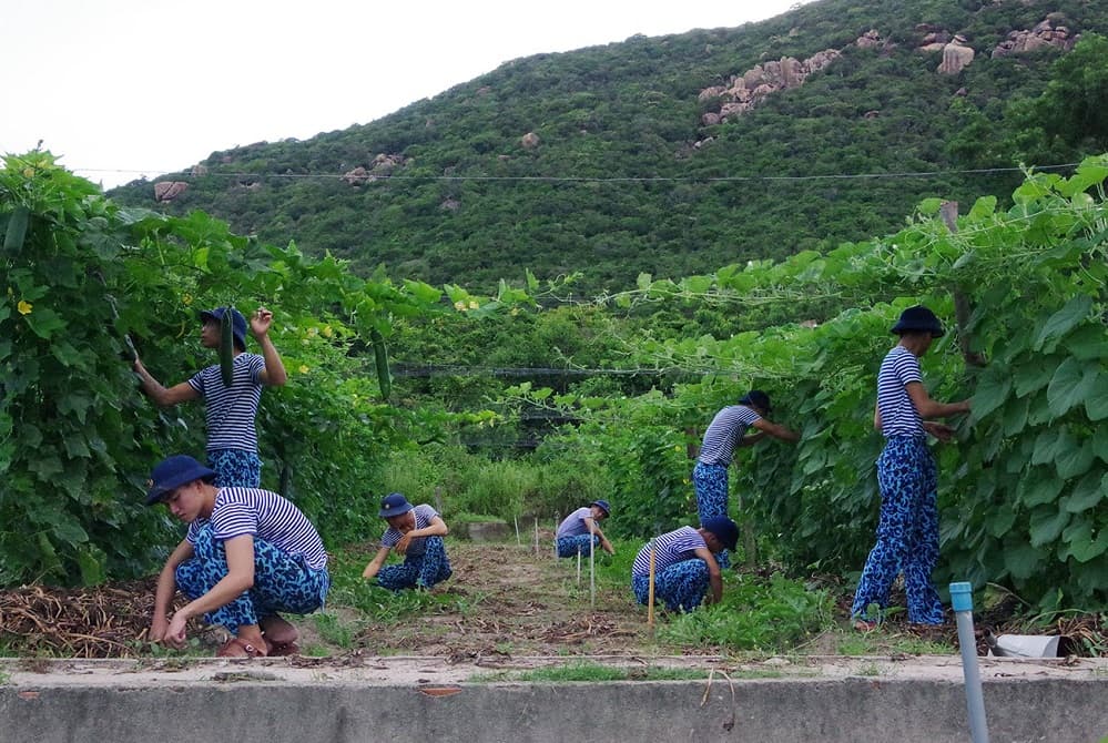 Điểm sáng về tăng gia sản xuất