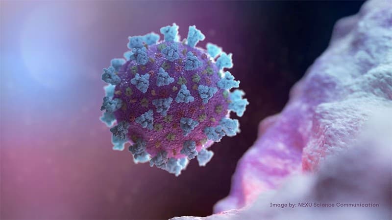 Những điều cần biết về biến thể mới BA.2.86 của virus SARS-CoV-2