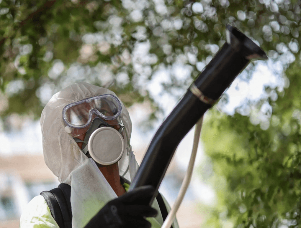 Người về từ vùng dịch Chikungunya cần theo dõi sức khỏe 12 ngày