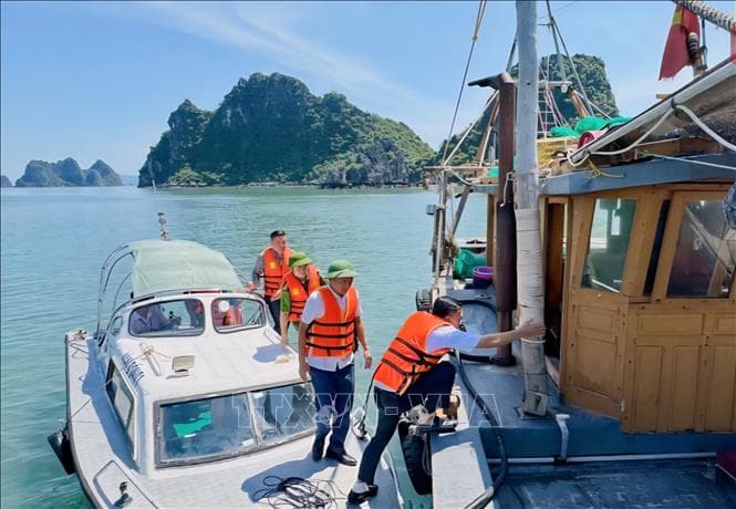 Thủ tướng Chính phủ chỉ đạo tập trung triển khai công tác ứng phó bão số 9