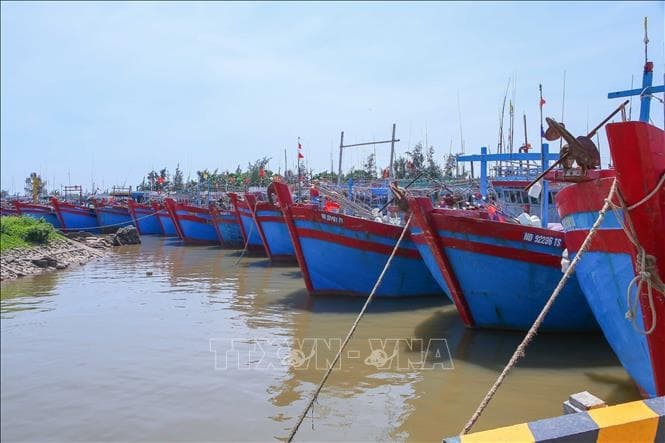 Các địa phương từ Ninh Bình đến Huế cấp bách ứng phó bão số 10