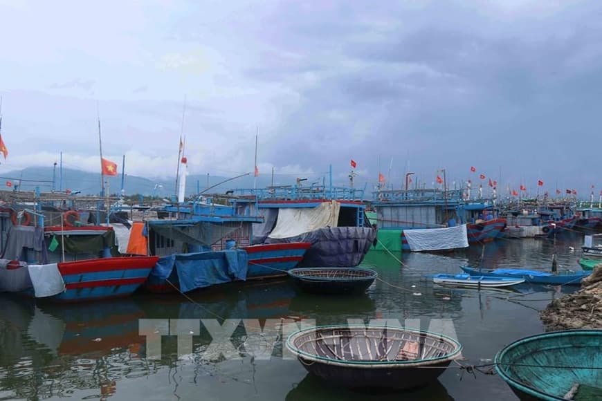 Việt Nam chính thức phê chuẩn Hiệp định Trợ cấp Nghề cá của WTO