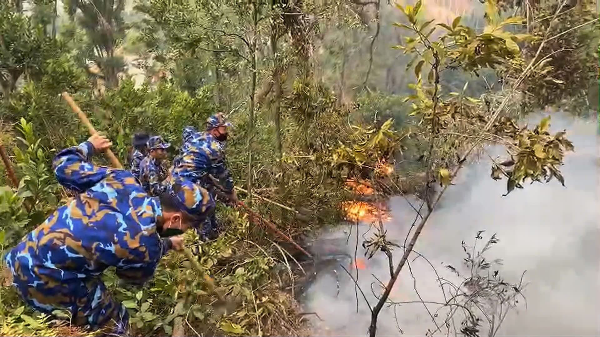 Cán bộ, chiến sĩ Lữ đoàn 679 xuyên đêm chữa cháy rừng