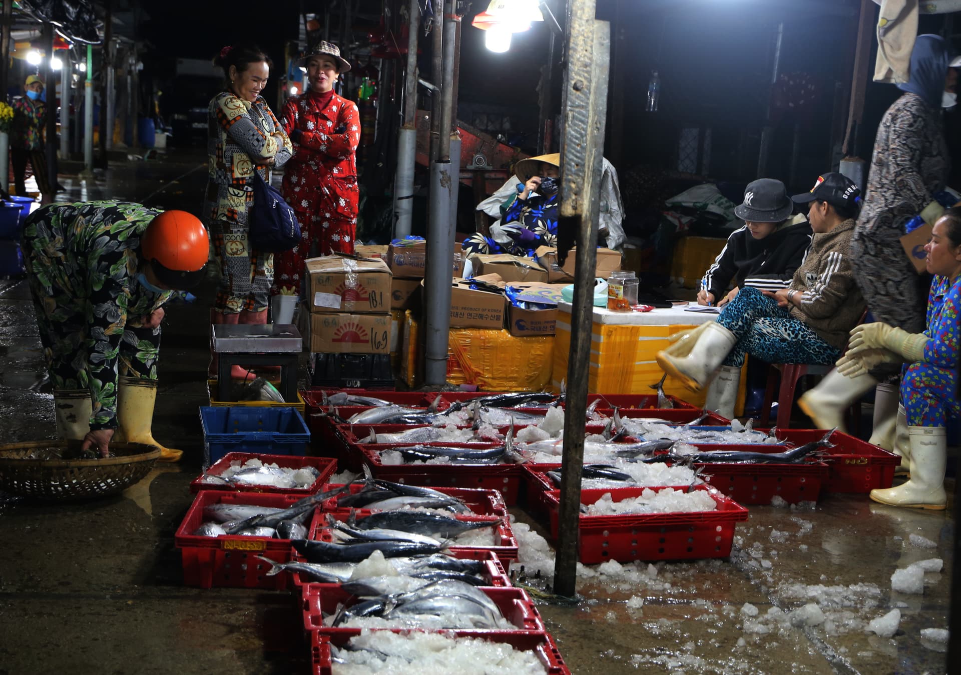 Ngư dân Khánh Hoà rộn ràng mở biển đầu xuân