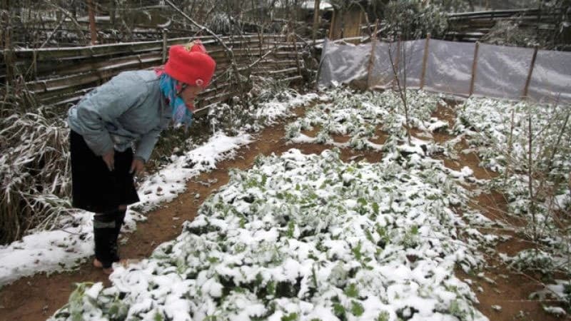 Chủ động ứng phó với rét đậm, rét hại và gió mạnh trên biển