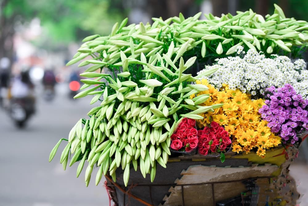 Tình khúc tháng tư