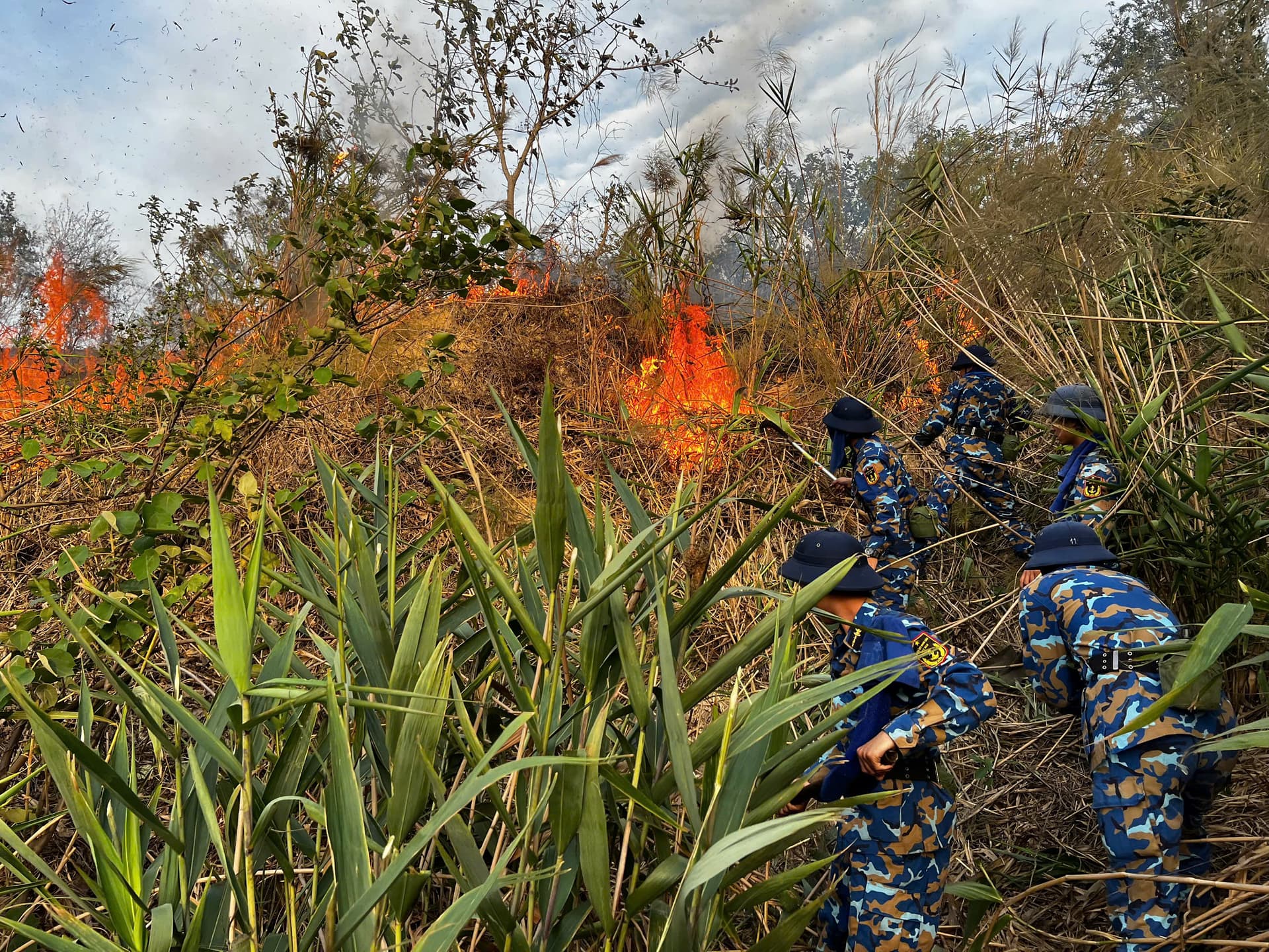 Lữ đoàn 147 tham gia chữa cháy rừng tại TP. Hạ Long, tỉnh Quảng Ninh