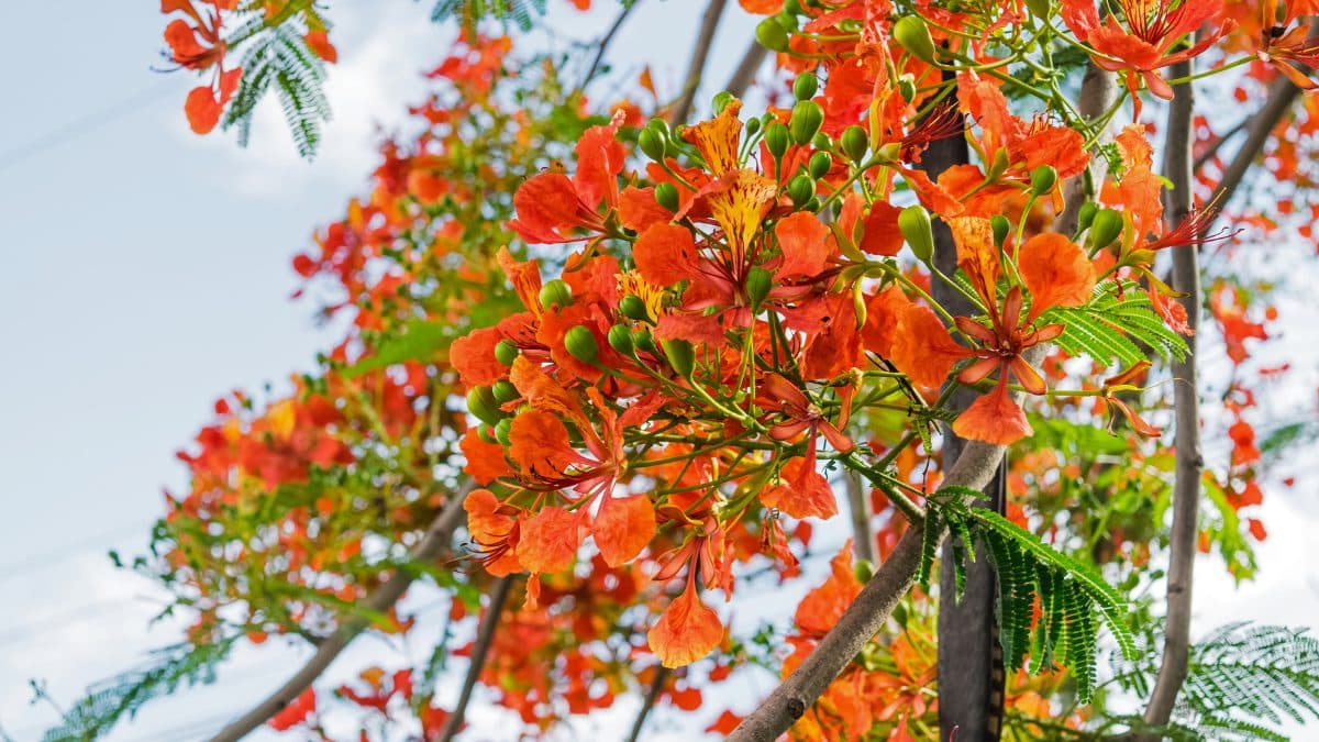 Tháng 5 những khoảnh khắc chuyển giao