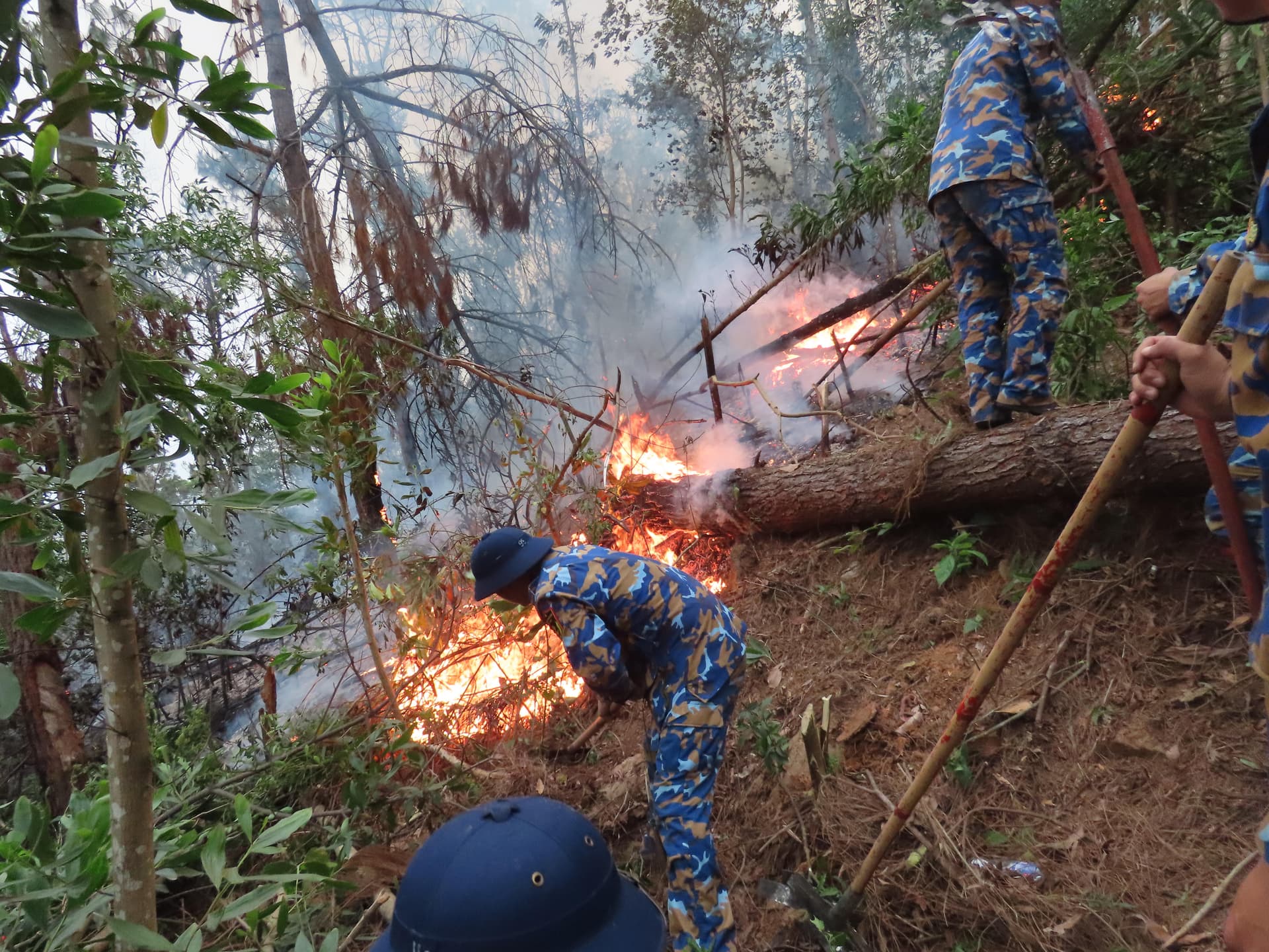 35 cán bộ, chiến sĩ Lữ đoàn 679 tham gia chữa cháy rừng