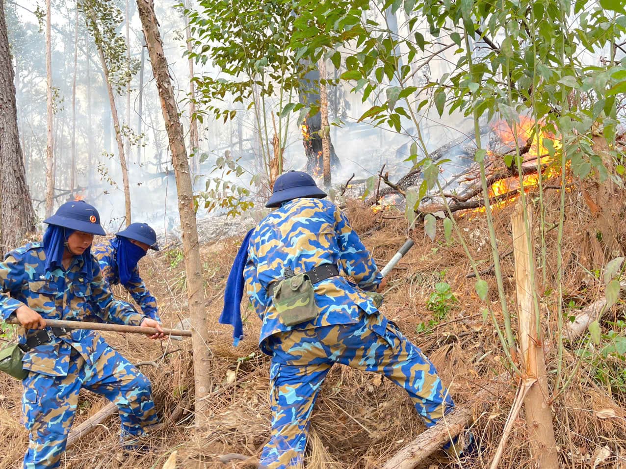 Lữ đoàn 147 tham gia chữa cháy rừng tại TP. Hạ Long