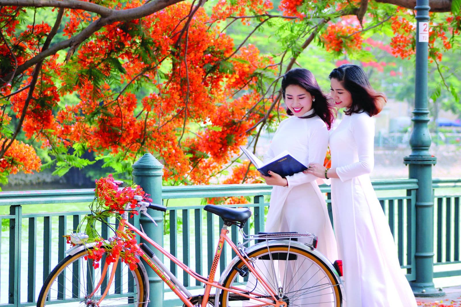 Chào Hạ – mùa của tuổi học trò rực rỡ nhất