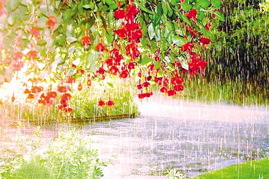 Hạ về – Ký ức không quên