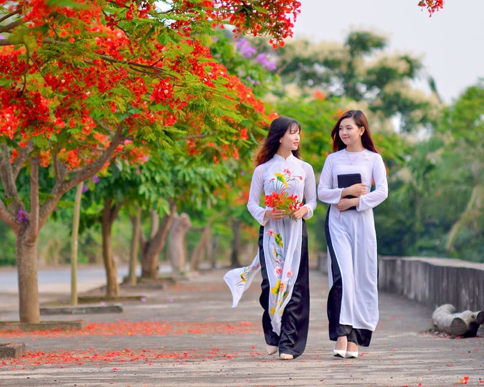 Ký ức mùa hoa phượng